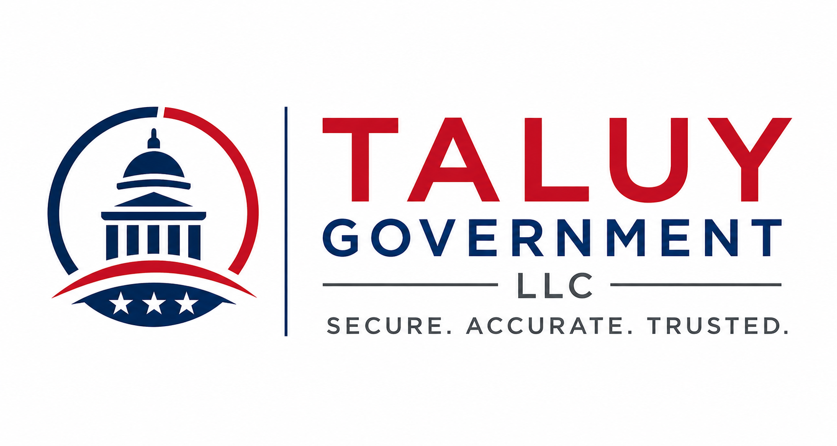 Taluy Government LLC